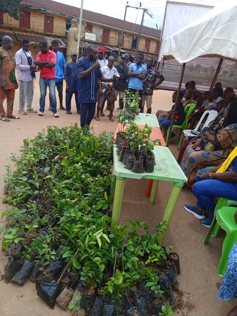 Youth Association Distributes over 900 Seedlings
